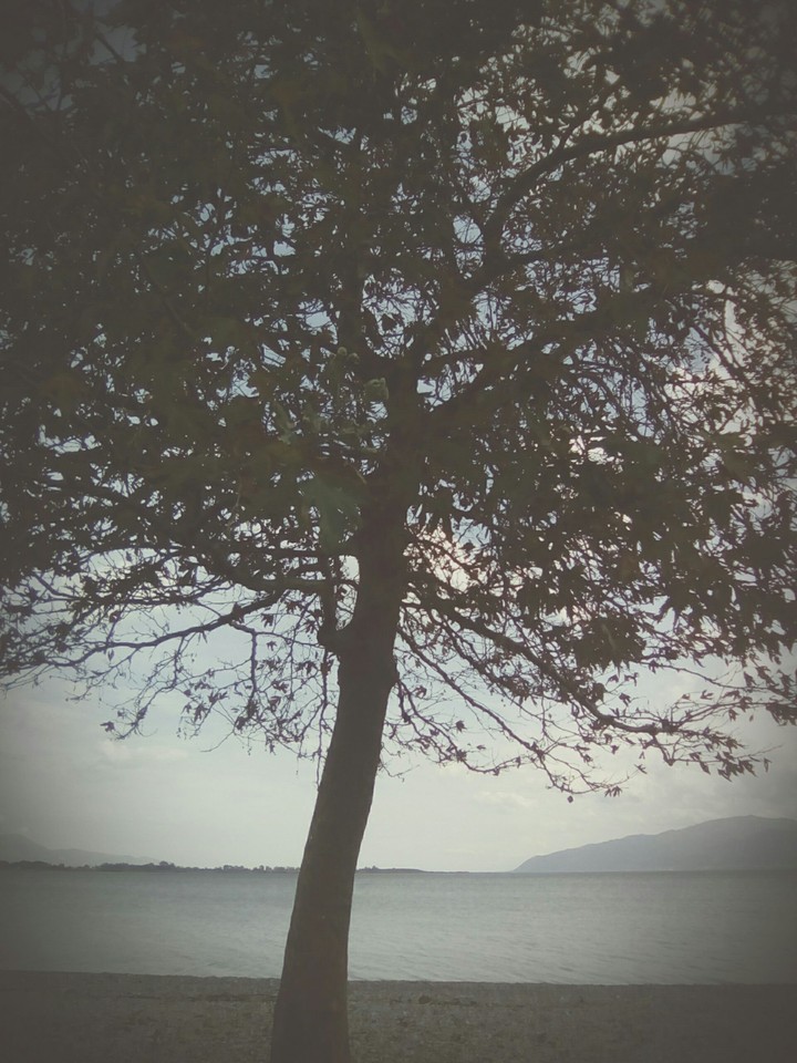 Lost