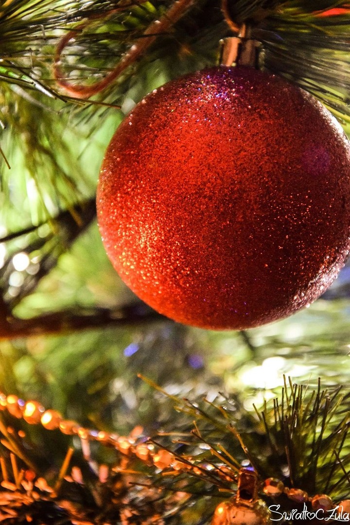 Święta Christmas