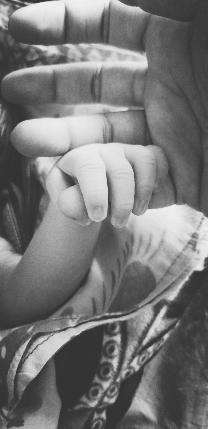 New life
