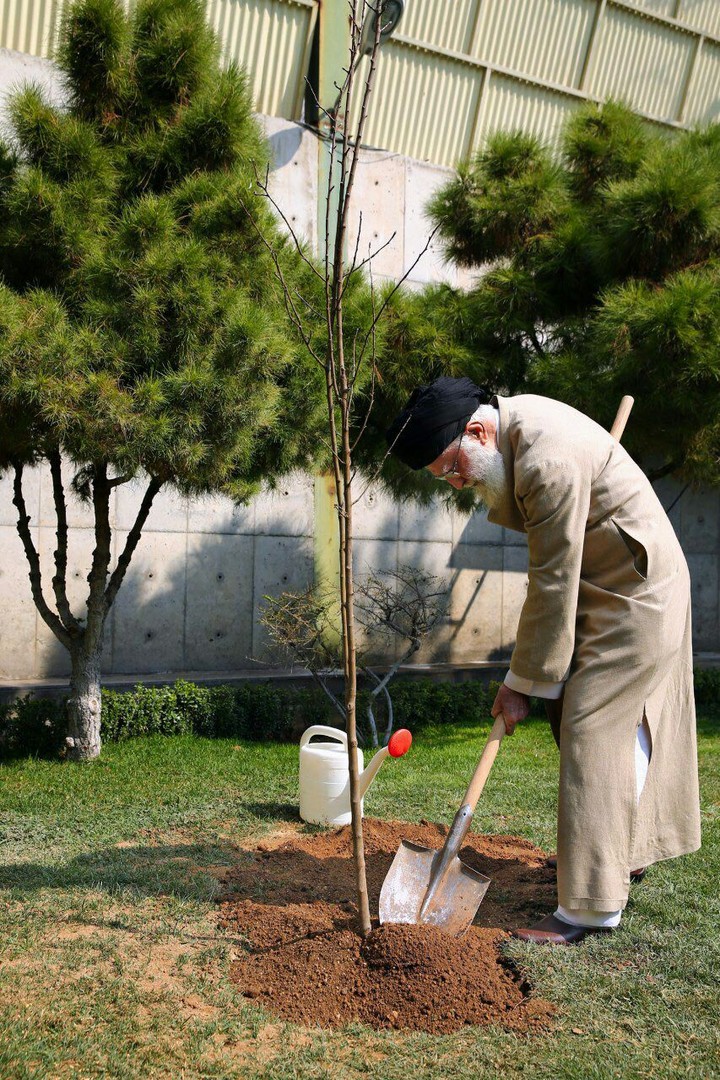 my leader