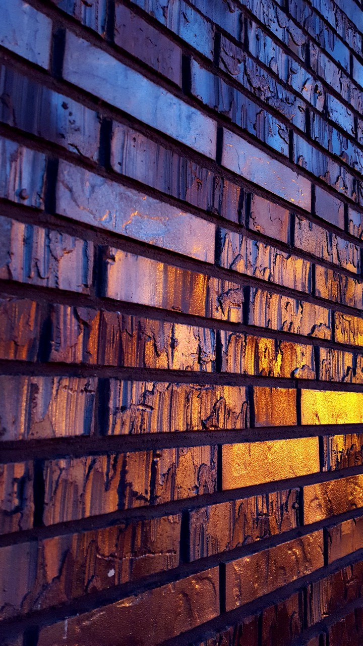 Bricks