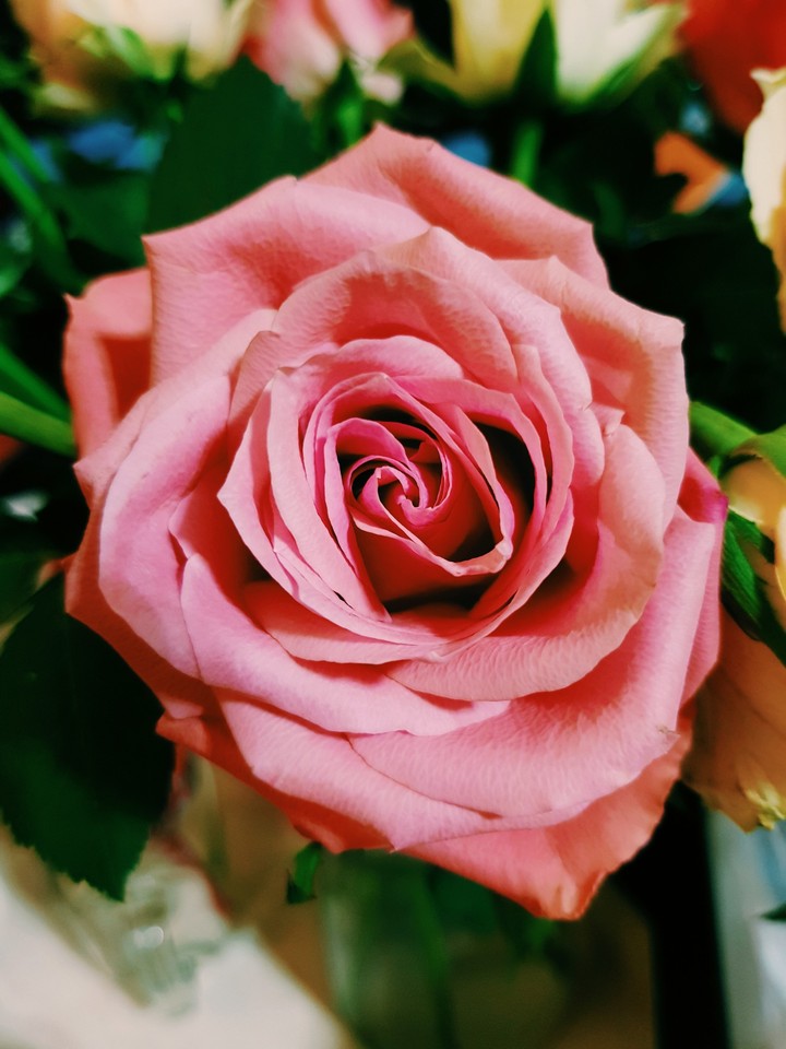 au coeur de la rose