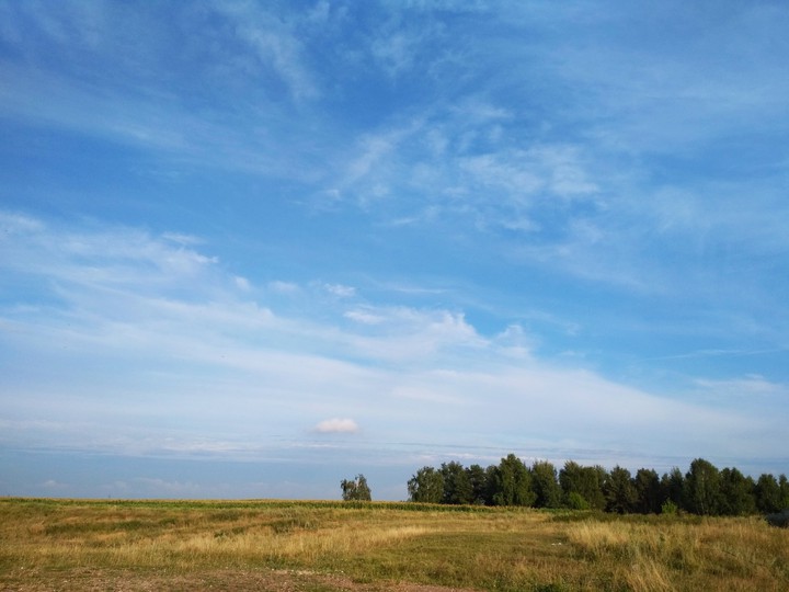 nature
