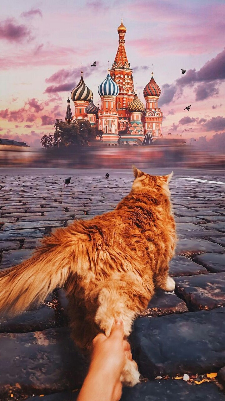 .....