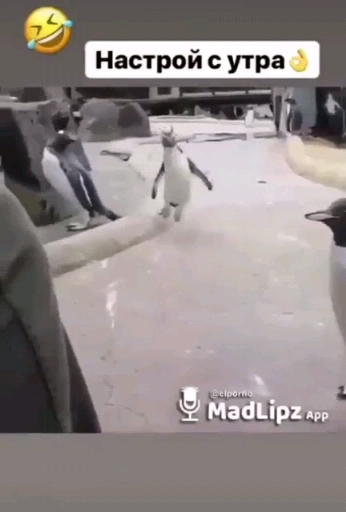 танцую до утра