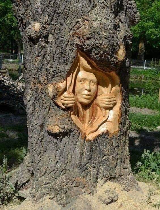 С