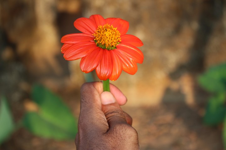 For you....
