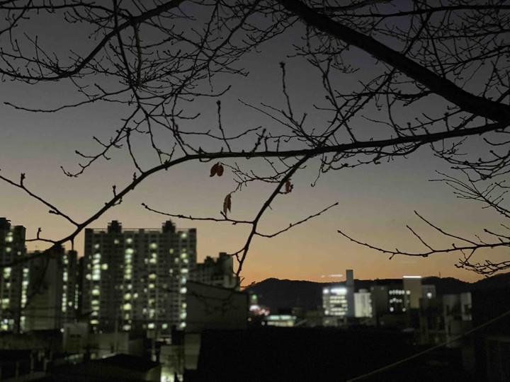 밤풍경