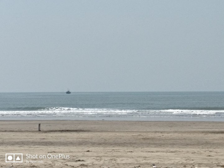 Beach Cricket