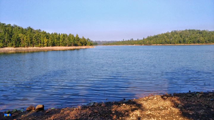 #sight #shadow #water #nature