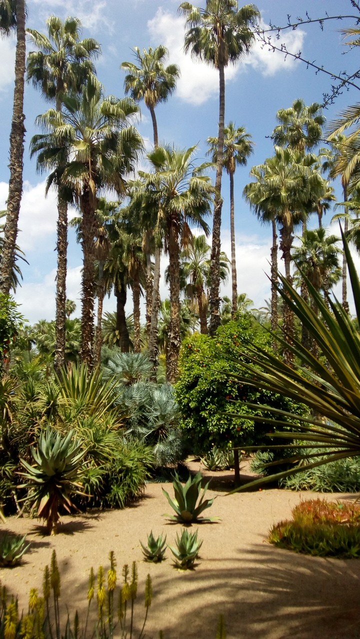 Marrakech ♥️