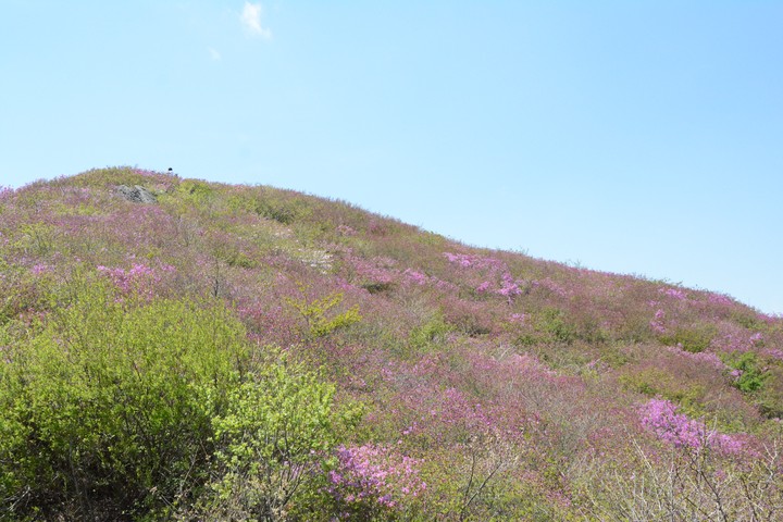 지리산이미지