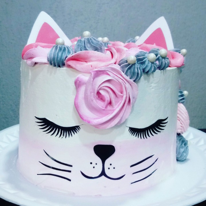 Gatinha Cat