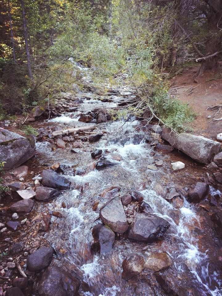 Rocky Mountain National Forest stream