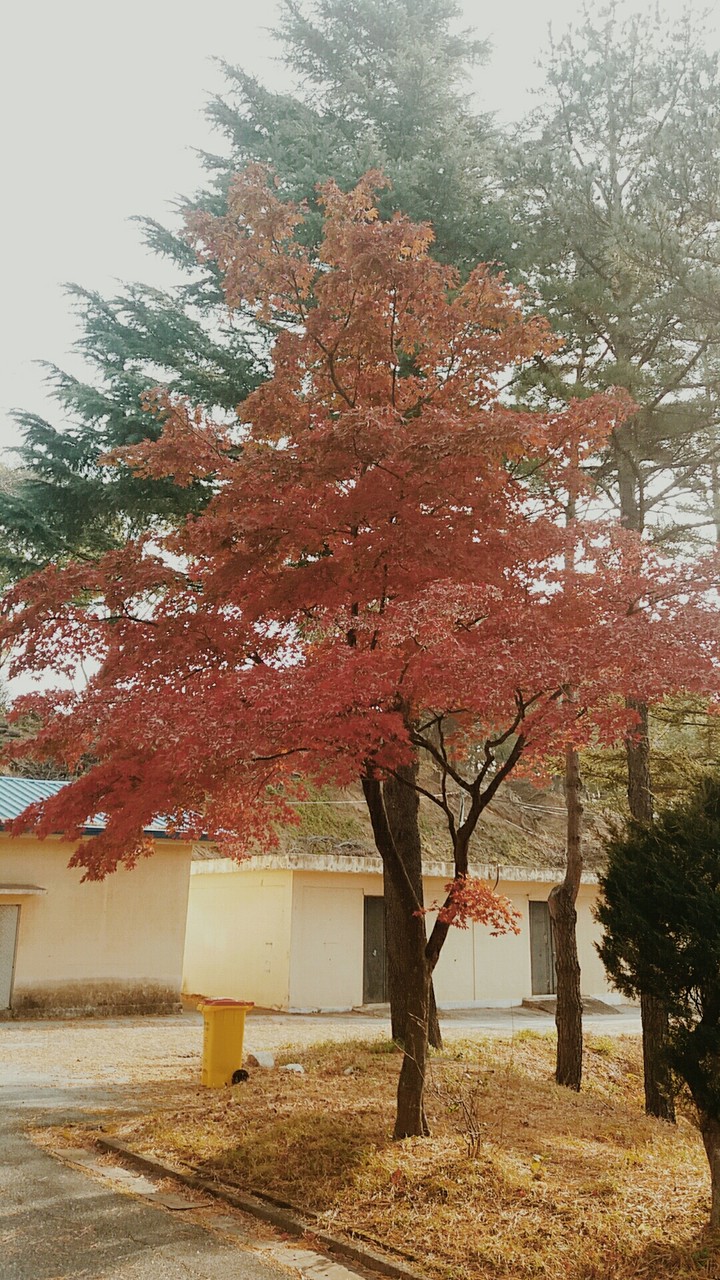 나