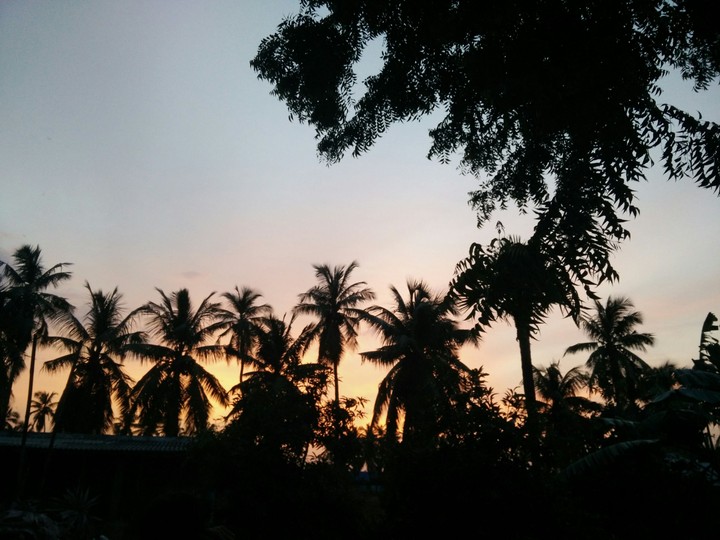 sun