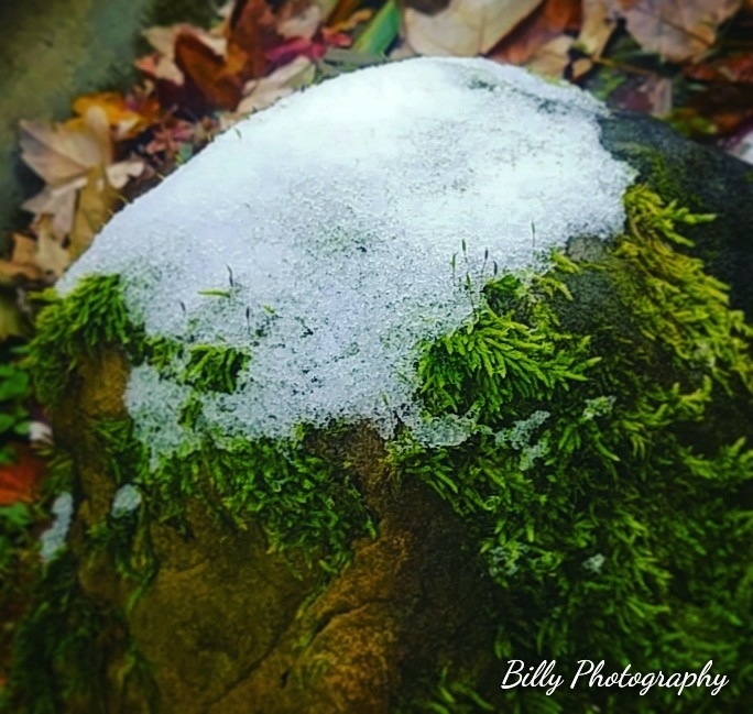 billy photography