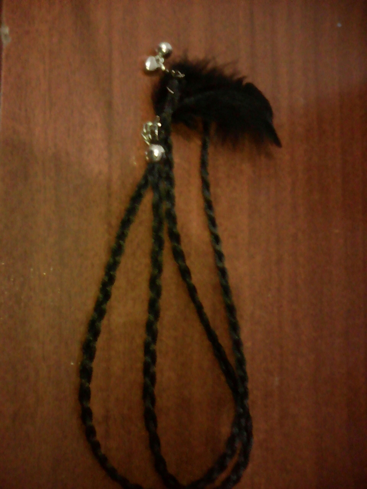La pluma