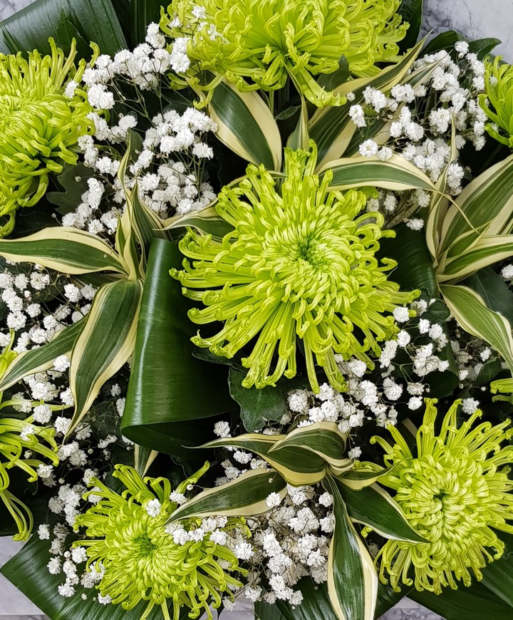 flower