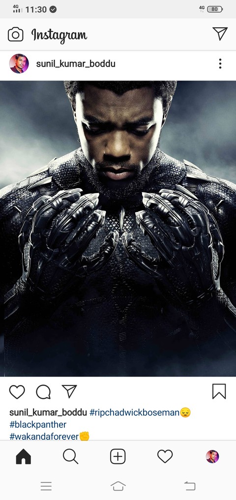 Black panther
