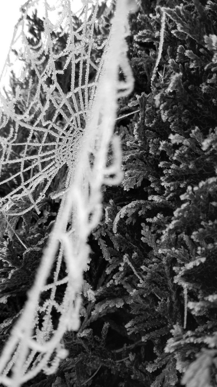 Winter❄