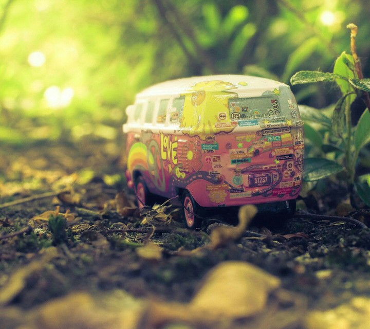 hippie car