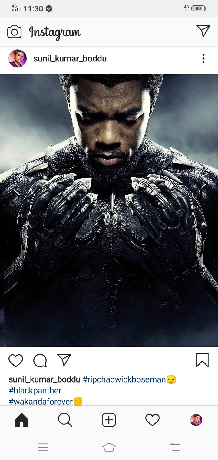 Black panther