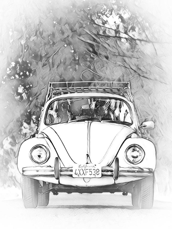 bettle wv