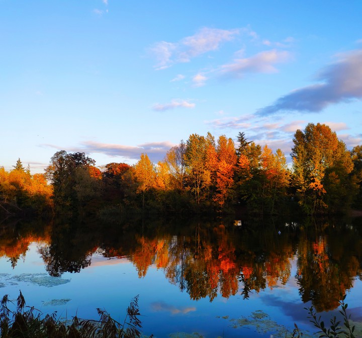 Herbst