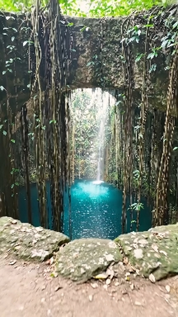 NATURE