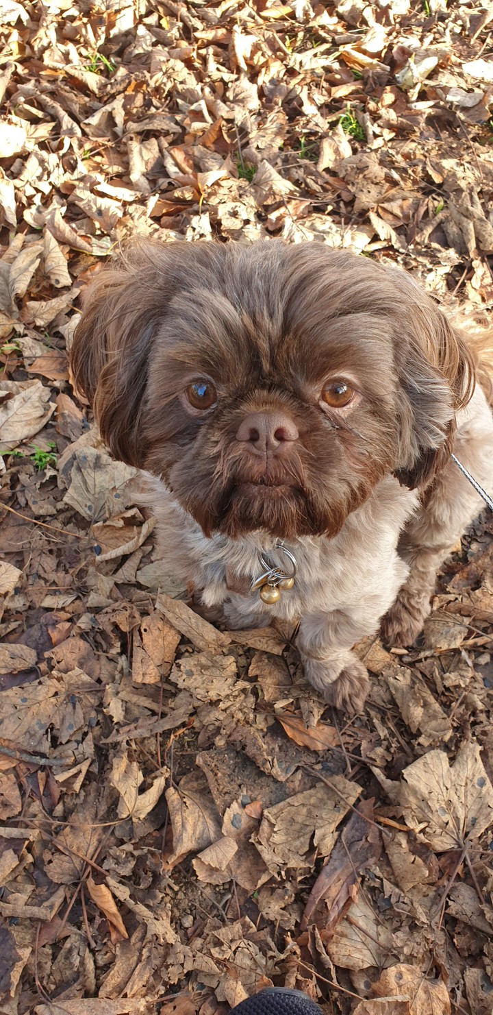 you looking at me!?