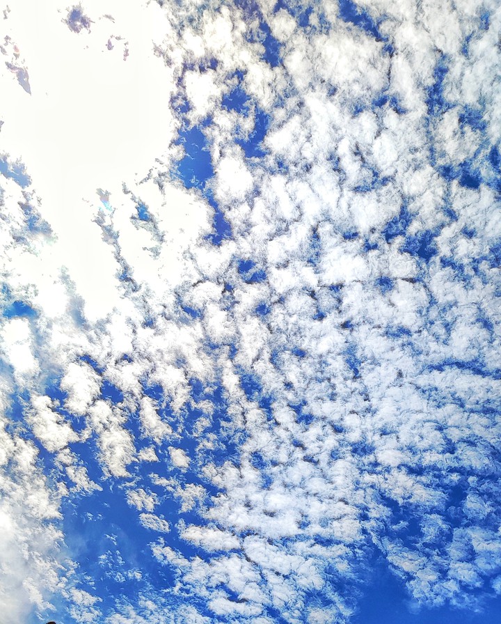 blue sky