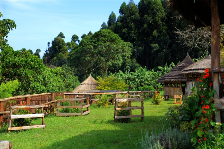 beautiful scenery at kissis country resort kapchorwa Uganda