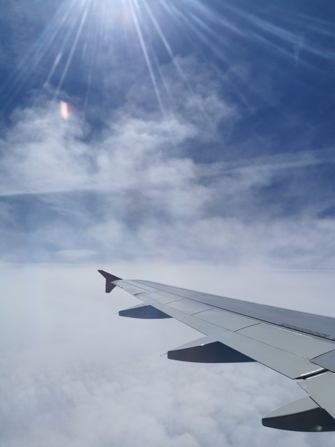 Fly