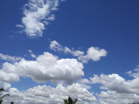 blue and white