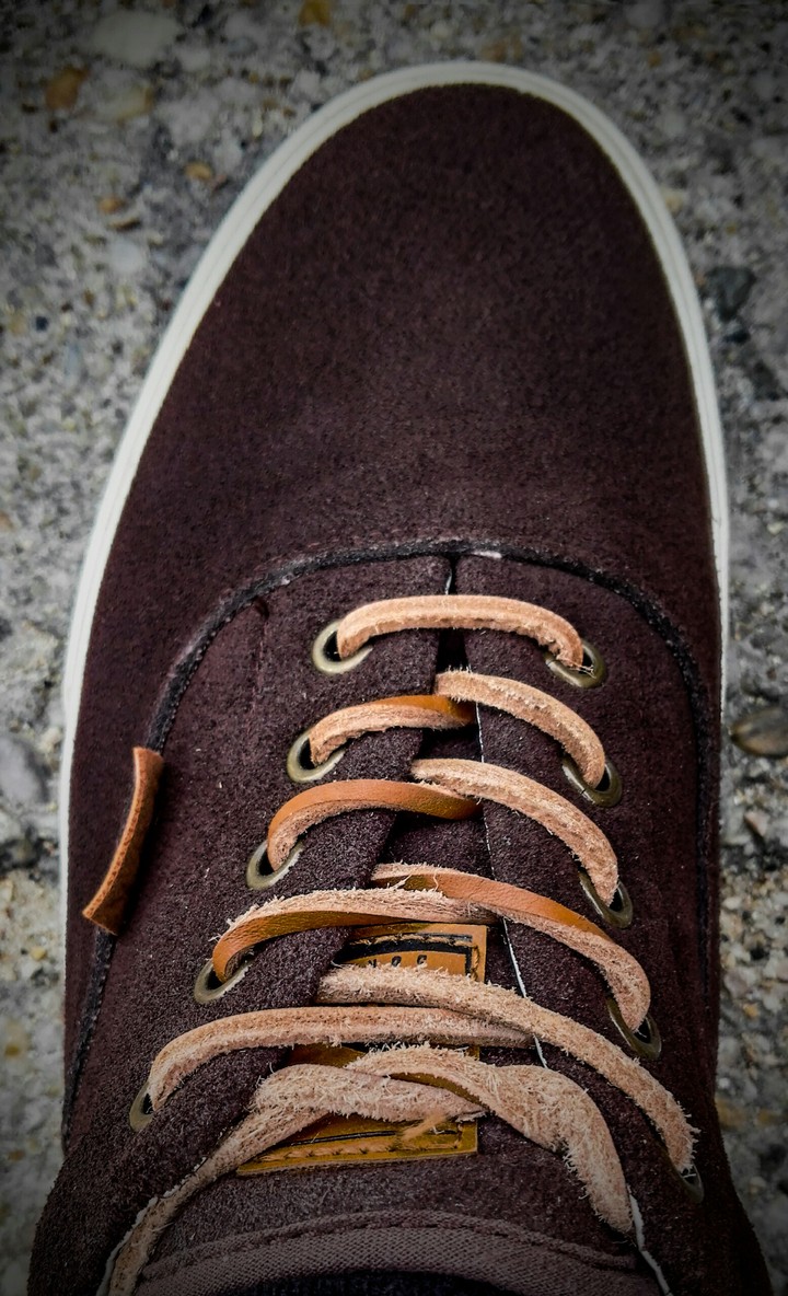 shoe