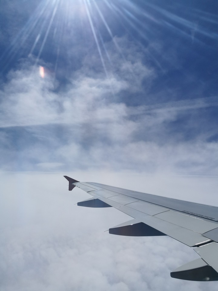 Fly