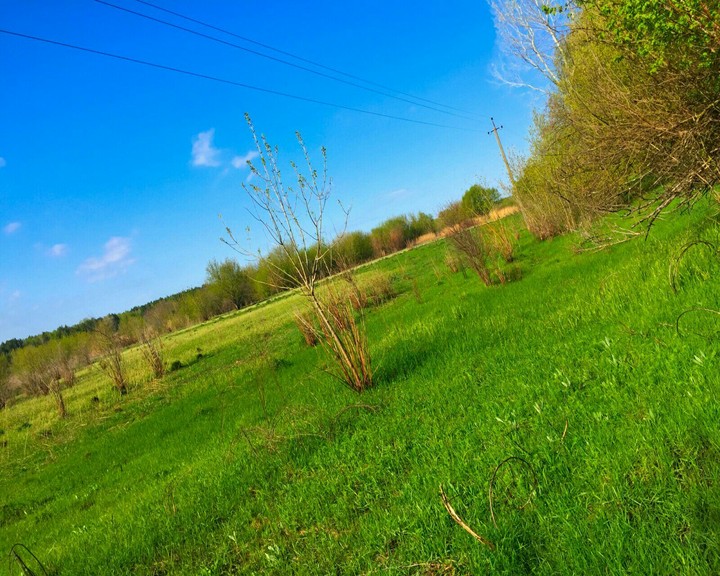 pole