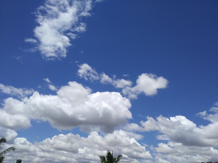 blue and white