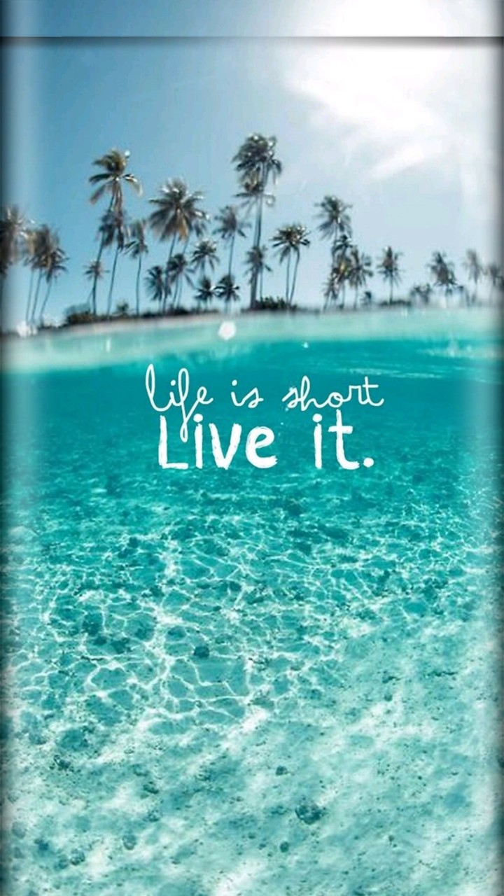 life is short