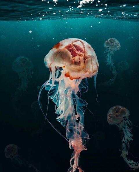 perfect photoshop