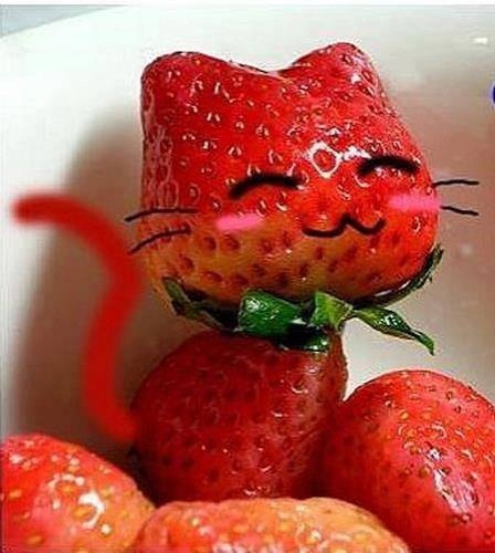 red kitty