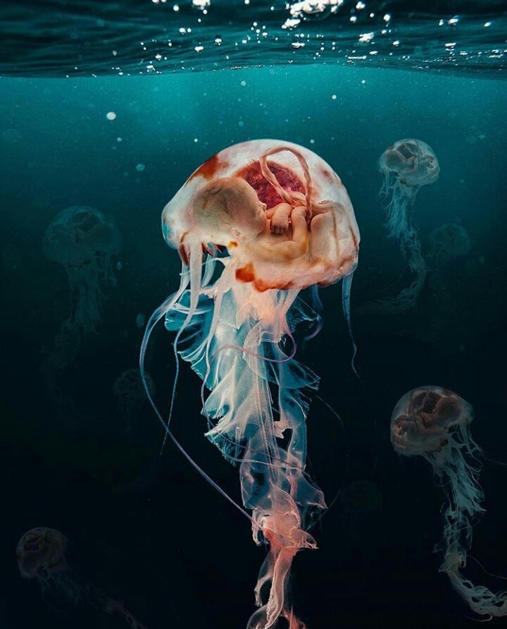 perfect photoshop