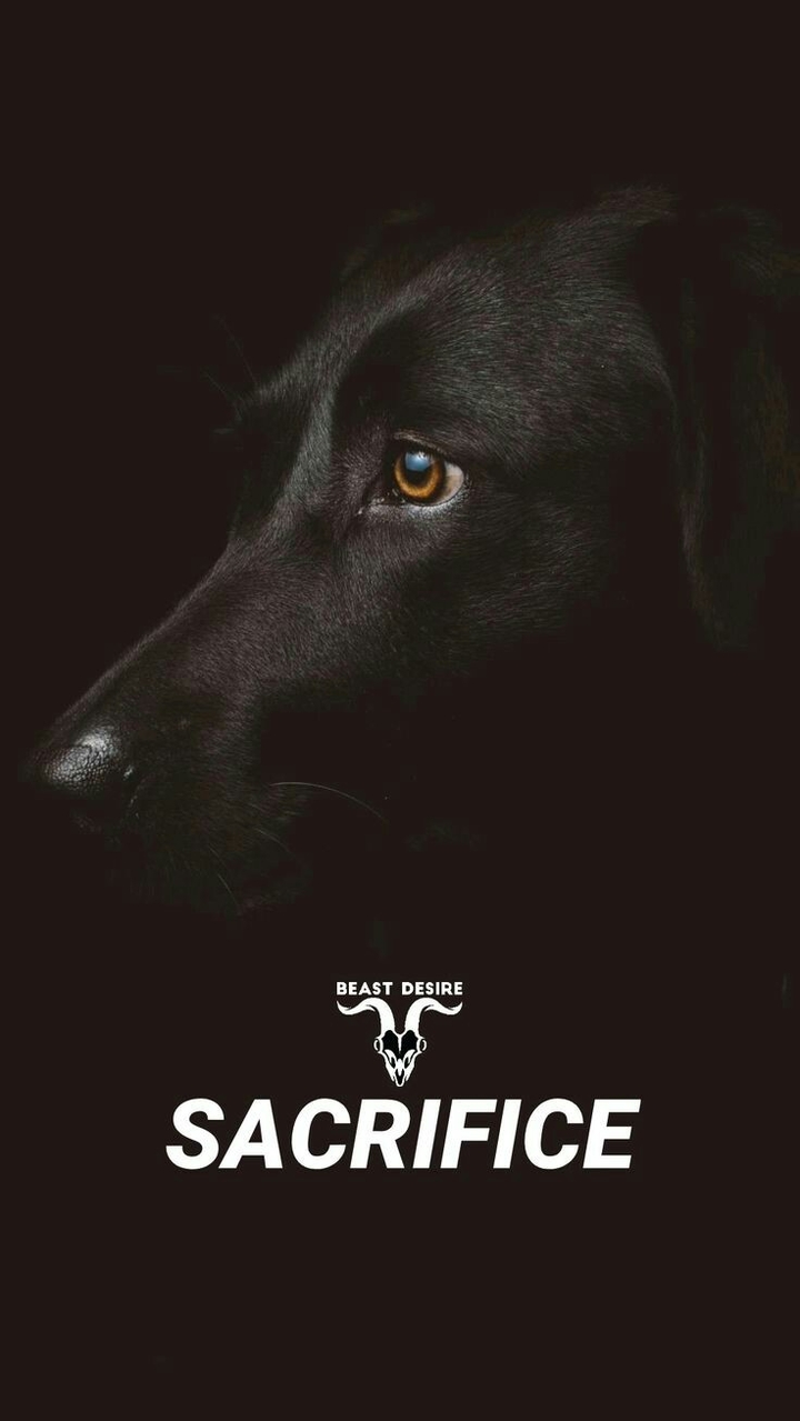 sacrifice