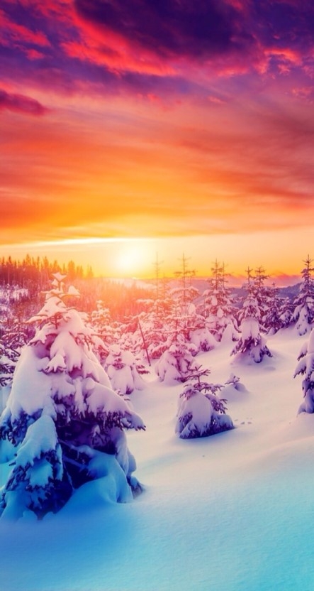 snow