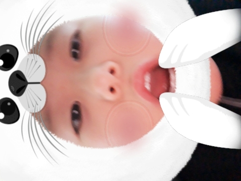 귀여운물개