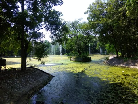 Sarthana National park
