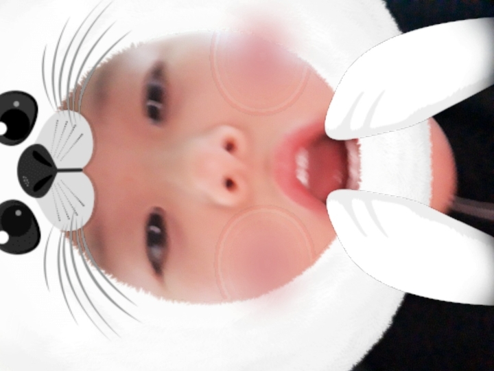 귀여운물개