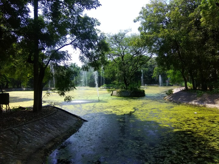 Sarthana National park