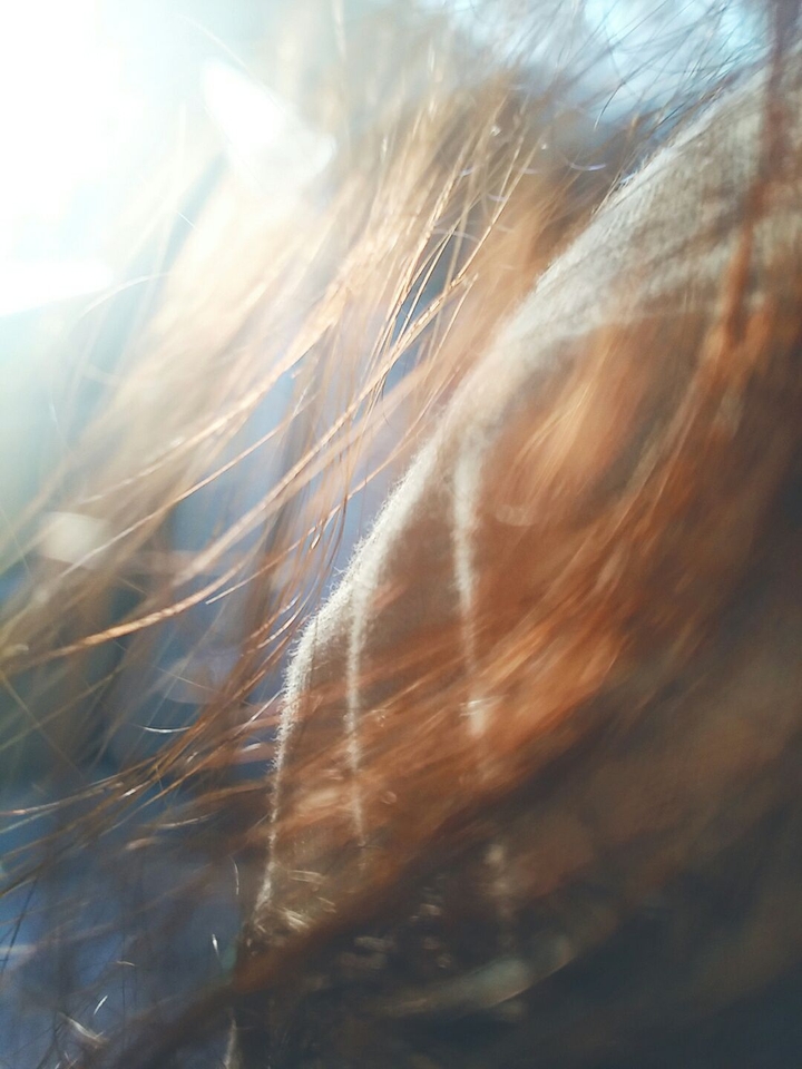 gold hair
